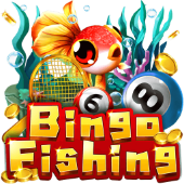 Câu Cá Bingo h29